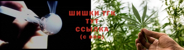 apvp Богданович