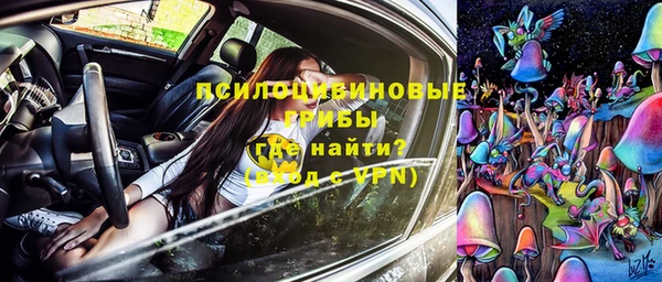 МДПВ Богородицк